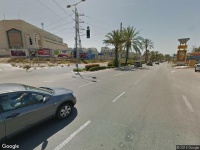 בעלי חיים الحيوانات