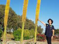 אומנויות לחימה Bujin - كان